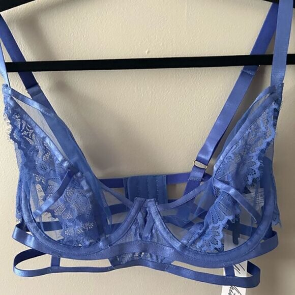 NWT WOLF WHISTLE Claire Blue Caged Lace Bra 32DDD - Picture 7 of 7